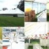 bright coloured lantens and bunting throughout marquee for corporate function